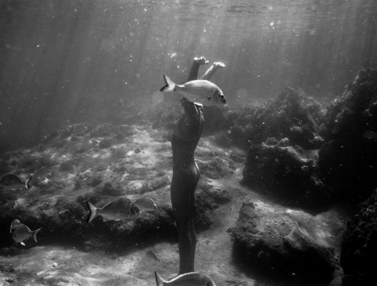 Still Waters #13" by Francesca Owen, is a black and white underwater photograph capturing a person standing upright with arms raised. Fish swim around the individual and rocky seabed, while light rays penetrate the water from above, creating a serene and ethereal atmosphere. This fine art print is available with custom framing and comes with a certificate of authenticity.
