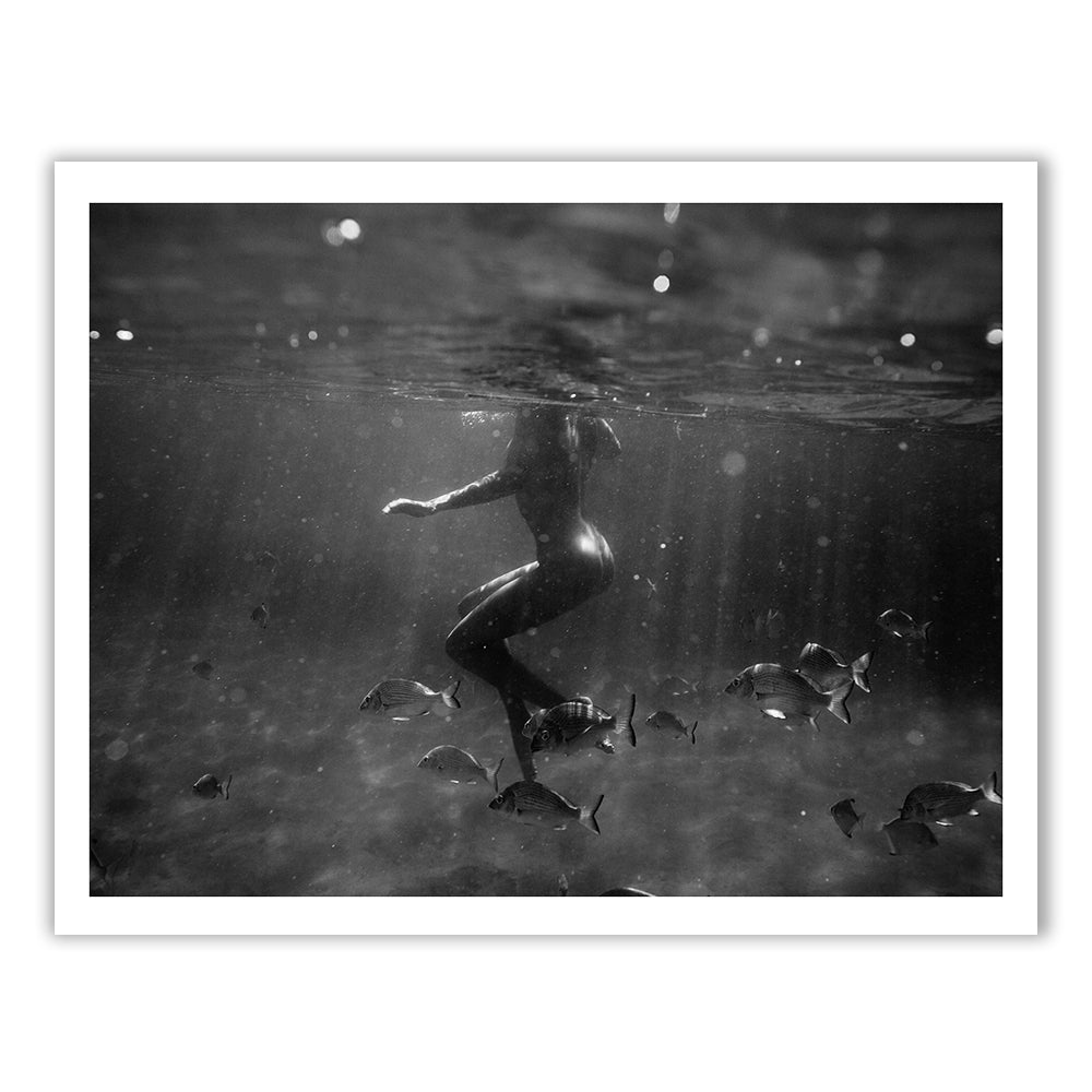 Francesca Owen's Still Waters #2 B&W captures a serene underwater moment in black and white, featuring a swimmer gracefully moving among fish. Sunlight filters through the water, highlighting the tranquility of the scene. This photograph is available in custom sizes and framing, and comes with a certificate of authenticity.